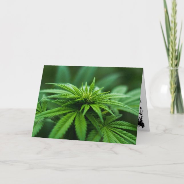 Beautiful Weed Card (Front)