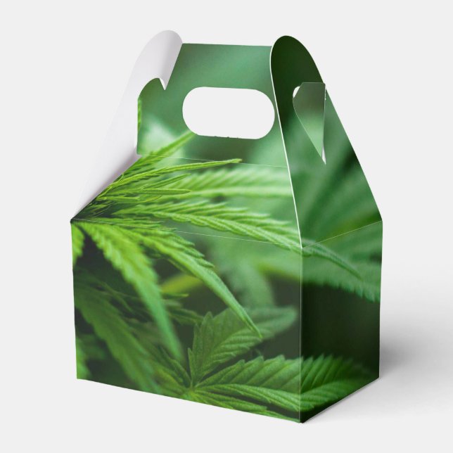 Beautiful Weed Favour Box (Front Side)