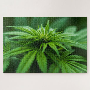 Beautiful Weed Jigsaw Puzzle