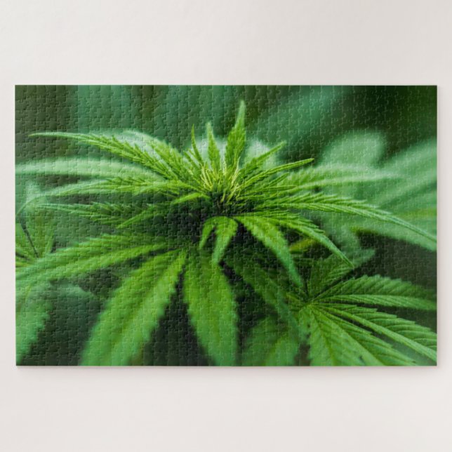 Beautiful Weed Jigsaw Puzzle (Horizontal)