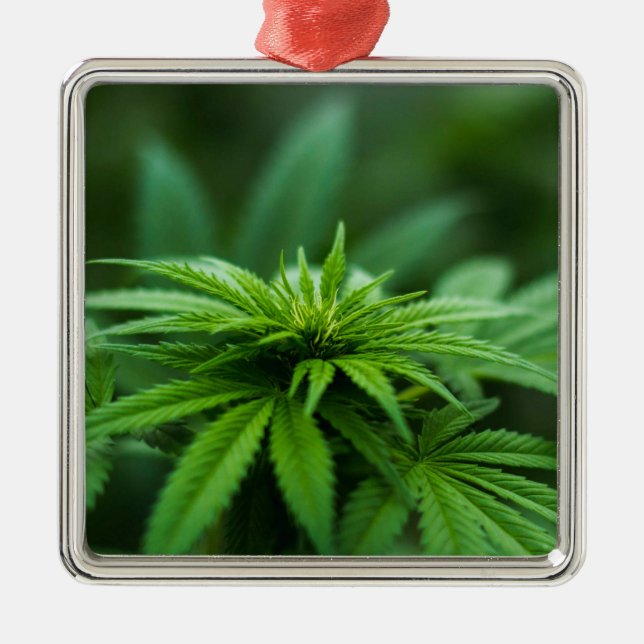 Beautiful Weed Metal Ornament (Front)