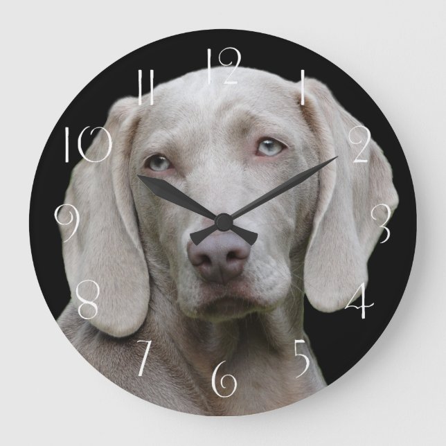 Beautiful Weimaraner Hunting Dog Large Clock (Front)
