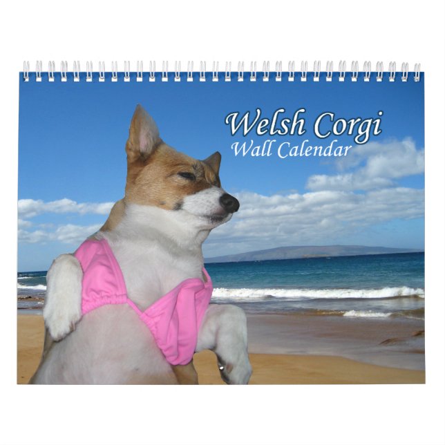 Beautiful Welsh Corgi Calendar (Cover)
