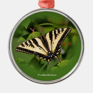 Beautiful Western Tiger Swallowtail Butterfly Metal Tree Decoration