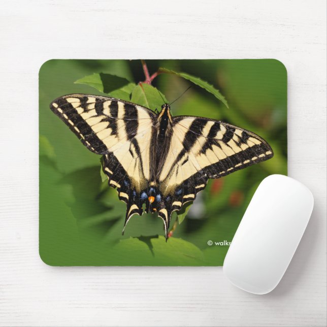 Beautiful Western Tiger Swallowtail Butterfly Mouse Pad (With Mouse)