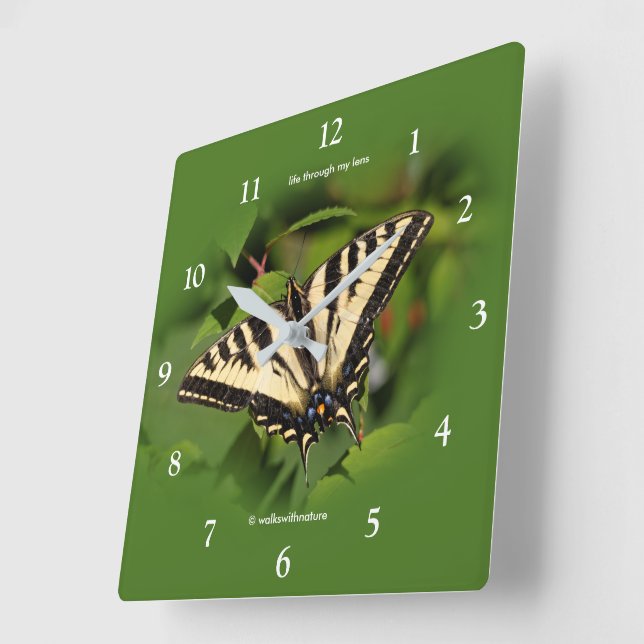 Beautiful Western Tiger Swallowtail Butterfly Square Wall Clock (Angle)