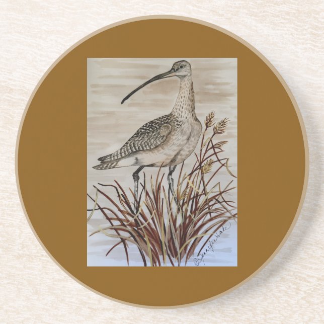 Beautiful Whimbrel Coaster (Front)