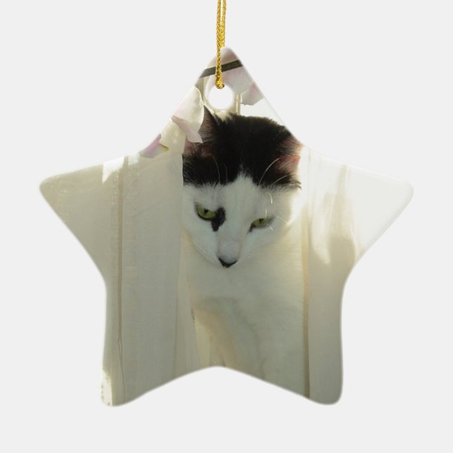 Beautiful White and Black Cat Ceramic Ornament (Front)