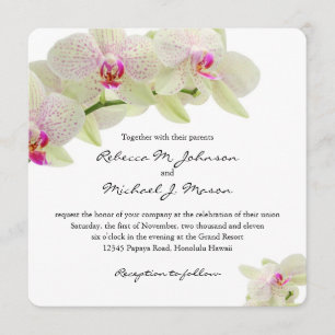 Beautiful White and Hot Pink Orchids Invitation