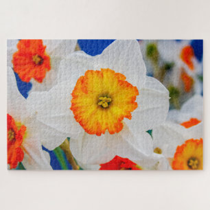 Beautiful white and orange flower jigsaw puzzle