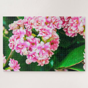 Beautiful white and pink flowers jigsaw puzzle