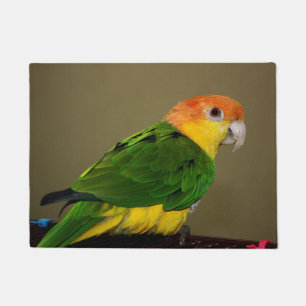 Beautiful White Bellied Caique Parrot Posing Doormat