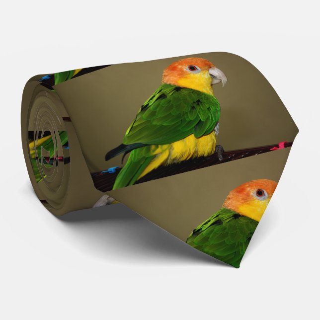 Beautiful White Bellied Caique Parrot Posing Tie (Rolled)