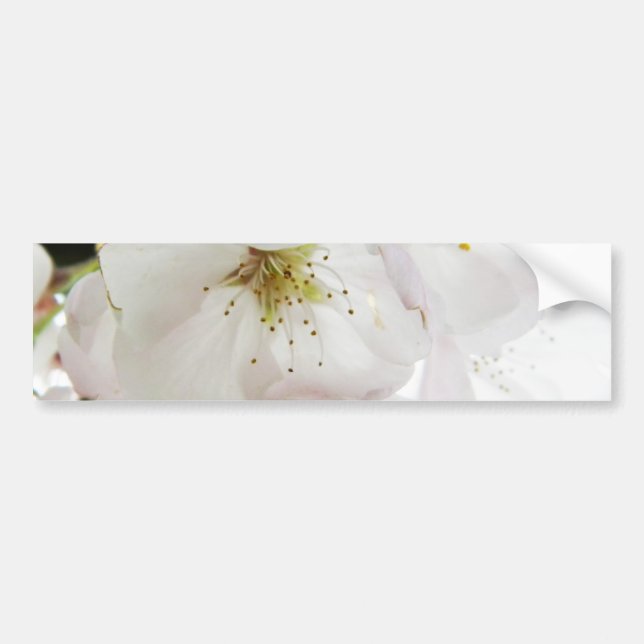Beautiful White Bumper Sticker (Front)