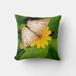 beautiful white butterfly moth yellow flower cushion