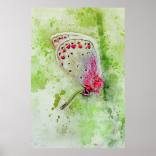 beautiful white butterfly on a stem painting poster
