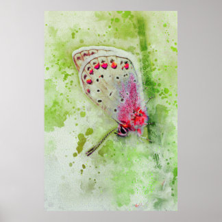 beautiful white butterfly on a stem painting poster