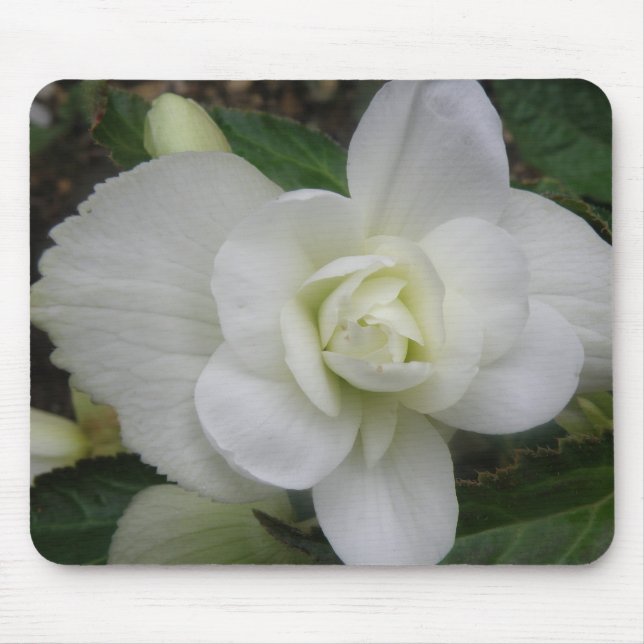Beautiful White Carnation Mousepad (Front)