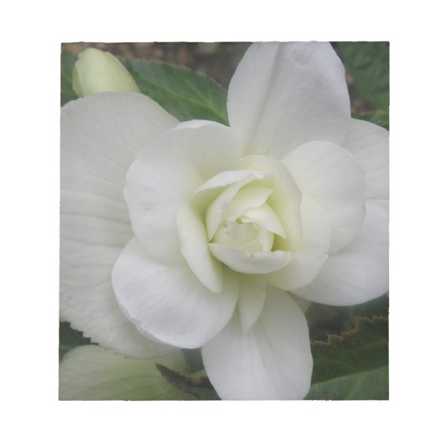 Beautiful White Carnation Notepad (Front)