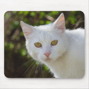 Beautiful White Cat Mouse Pad