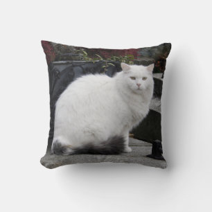 Beautiful White Cat On A Grave Cushion
