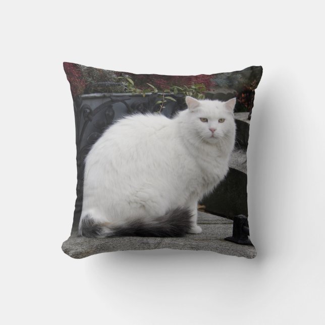 Beautiful White Cat On A Grave Cushion (Front)