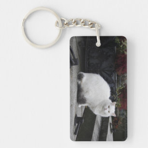 Beautiful White Cat On A Grave Key Ring
