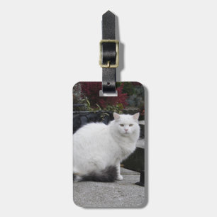 Beautiful White Cat On A Grave Luggage Tag