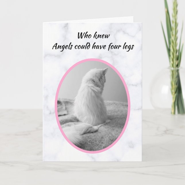 Beautiful White Cat Pet Sympathy Card (Front)