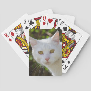 Beautiful White Cat Playing Cards