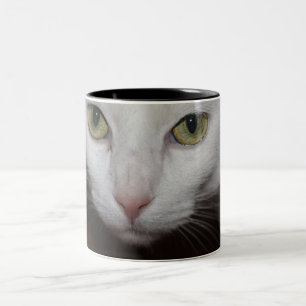 Beautiful White Cat Two-Tone Coffee Mug