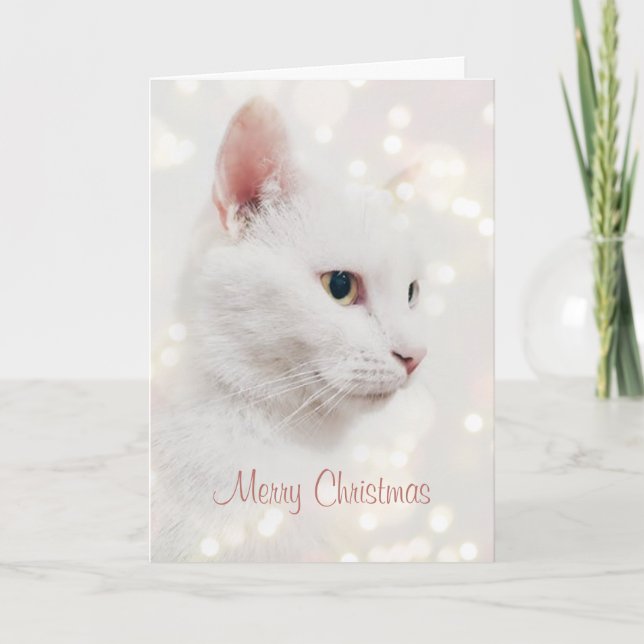 Beautiful White Cat with Christmas Lights Holiday  Card (Front)