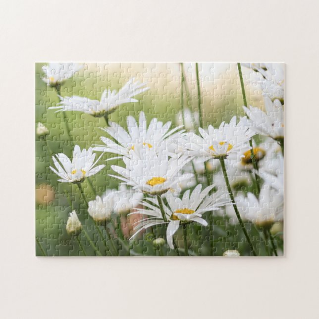 Beautiful White Daisies | Flowers in Green Field Jigsaw Puzzle (Horizontal)