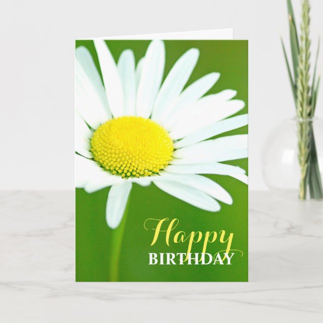 Beautiful White Daisy Birthday Card (Front)