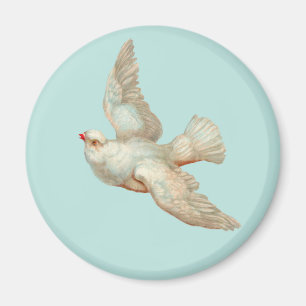 beautiful white dove magnet