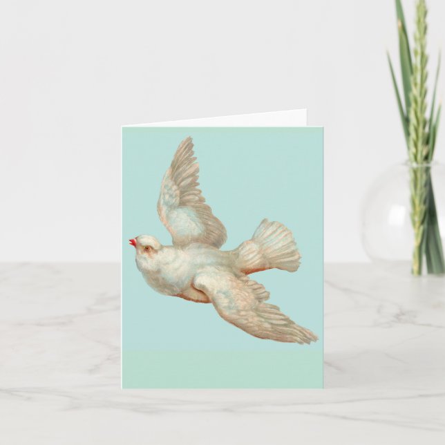  beautiful white dove note card (Front)