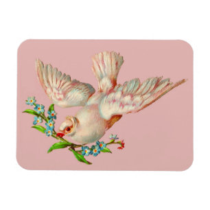 beautiful white dove with sprig in its mouth magnet
