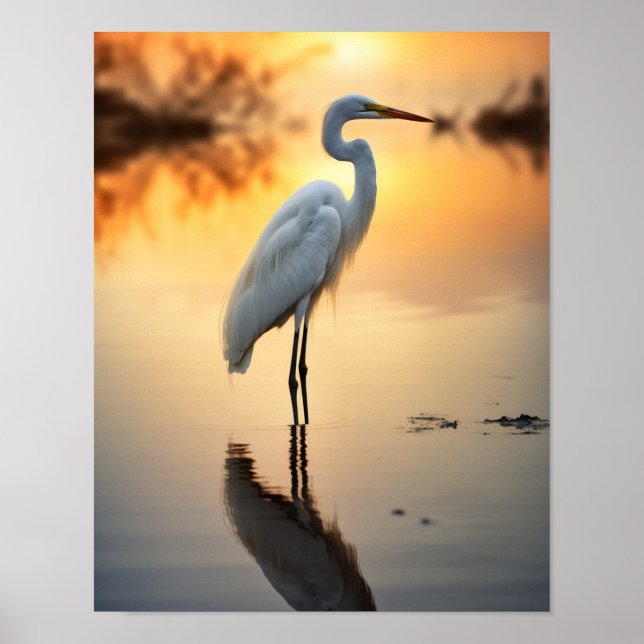 Beautiful White Egret Alone at Dawn Poster (Front)