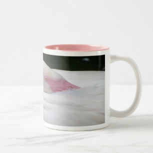 Beautiful White Flamingo Two-Tone Coffee Mug