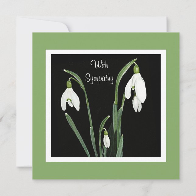 Beautiful white flower floral fine art sympathy card (Front)