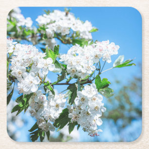 Beautiful White Flowers Coaster Set