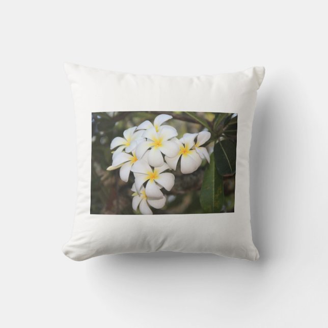 Beautiful white flowers, Plumeria, pillow (Front)