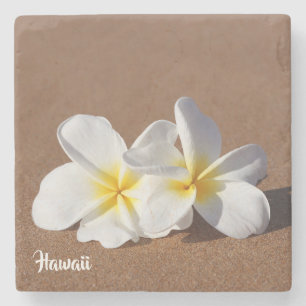 Beautiful White Hawaiian Plumeria Coaster