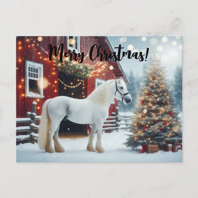 Beautiful white horse and red barn postcard (Front)