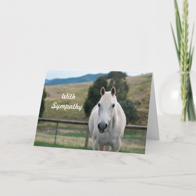 Beautiful White Horse Appaloosa Photo Sympathy Card (Front)