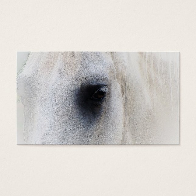 Beautiful White Horse Closeup (Front)
