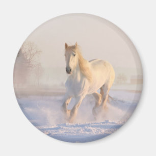 Beautiful White Horse Galloping in the Snow Magnet