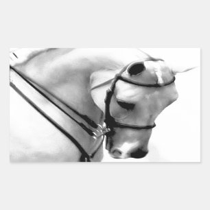 Beautiful white Horse head Rectangular Sticker
