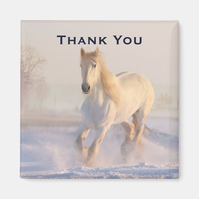 Beautiful White Horse in the Snow Photo Thank You Magnet (Front)