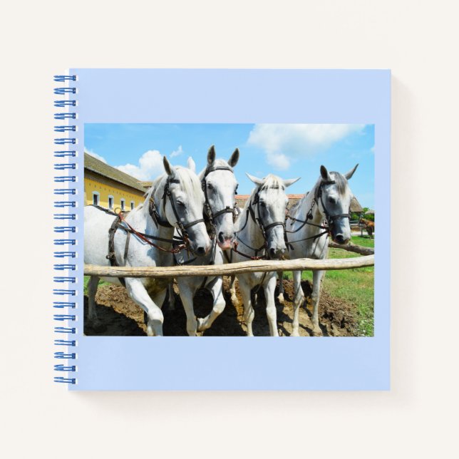 Beautiful white horses notebook (Front)